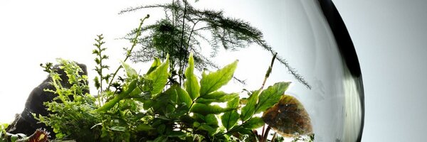 jeffnyc Profile Banner