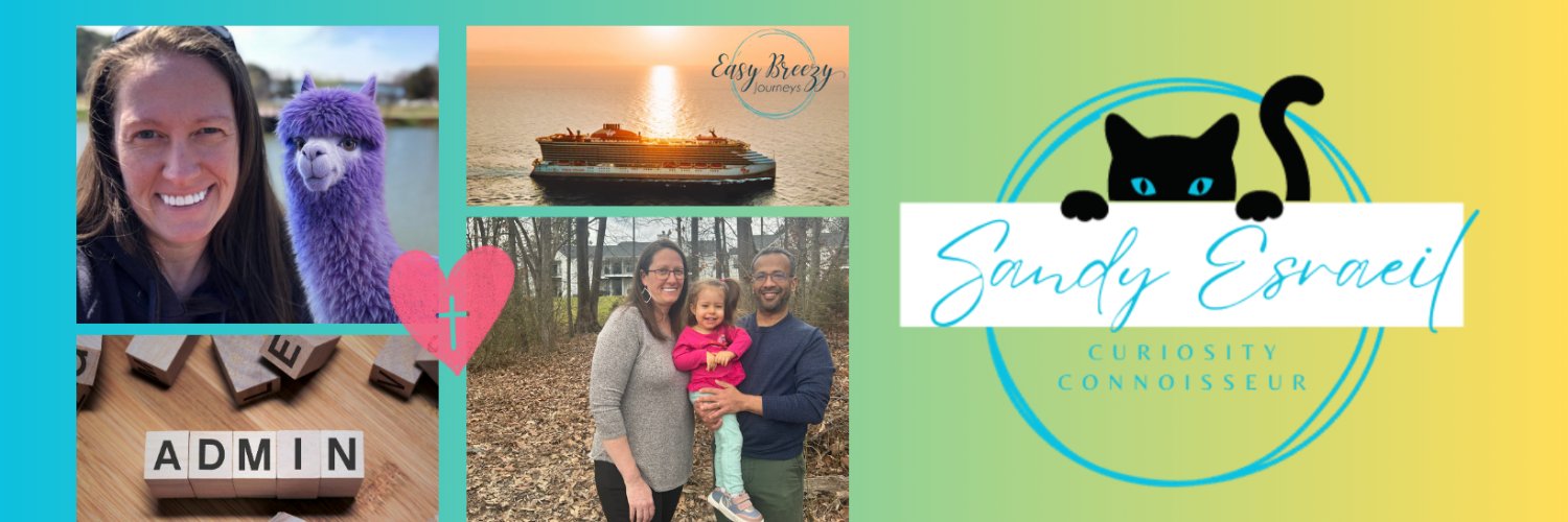 Sandy Esraeil banner
