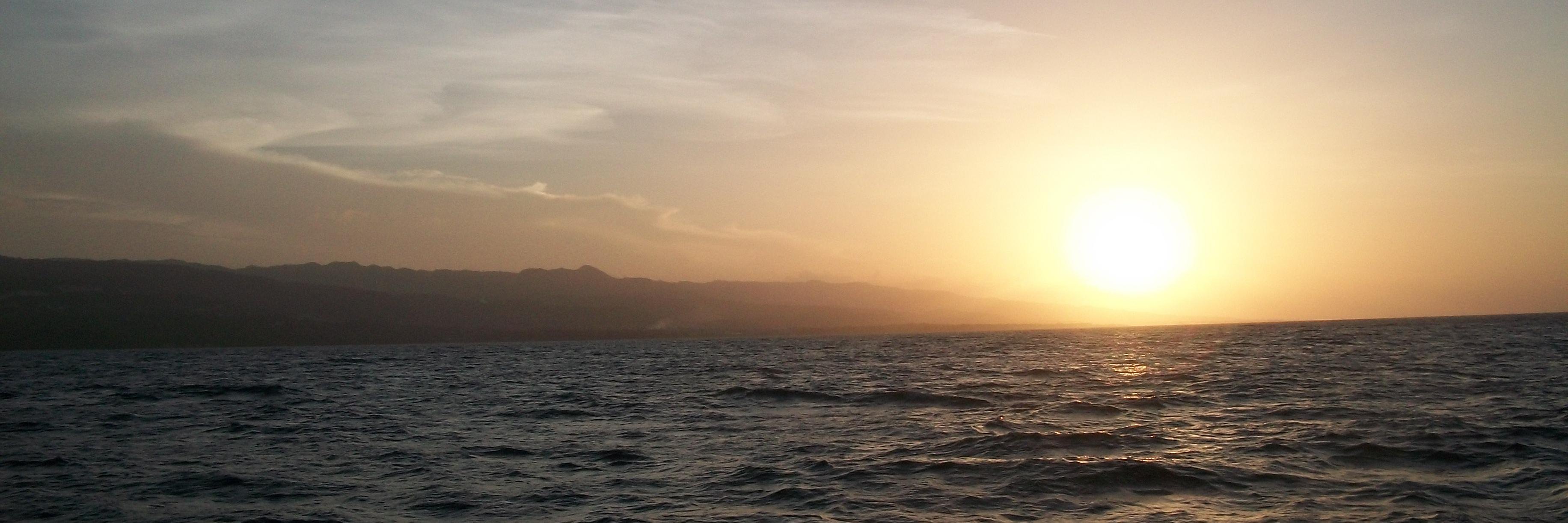 Angela Harless banner