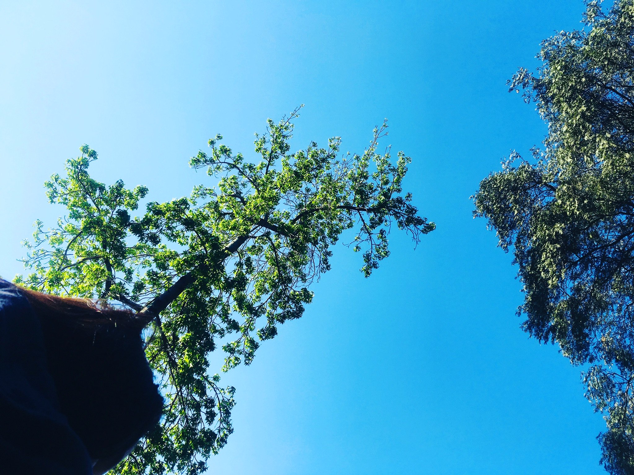 fran_roman6's profile banner image