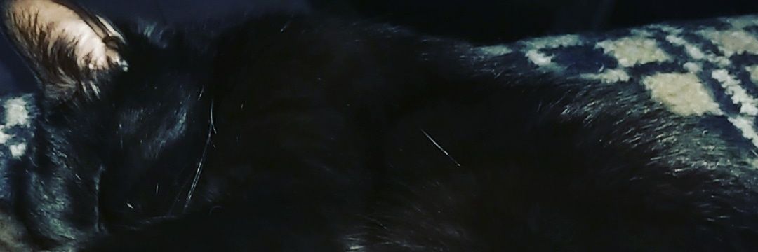 AlexGaitan_'s profile banner image