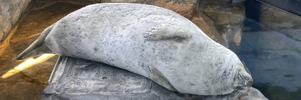 crgeTW Profile Banner