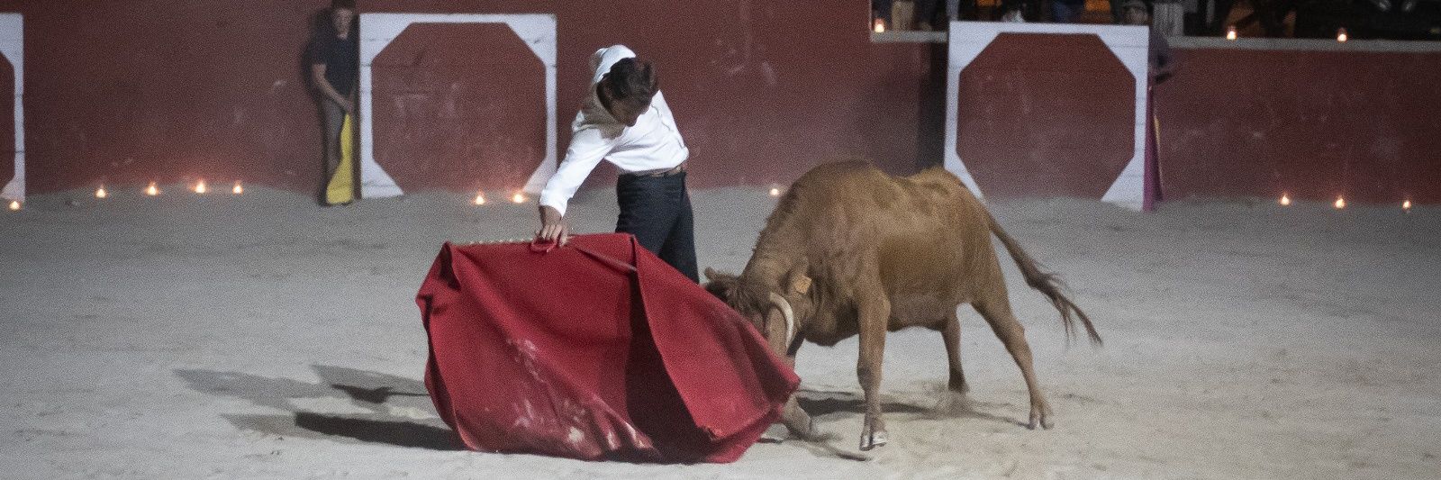 Club Taurino Manolo Molés Benassal banner