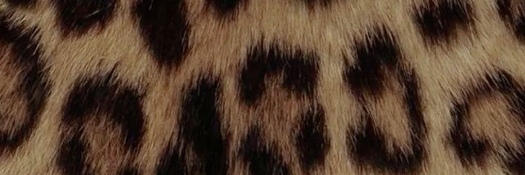 losputas_'s profile banner image