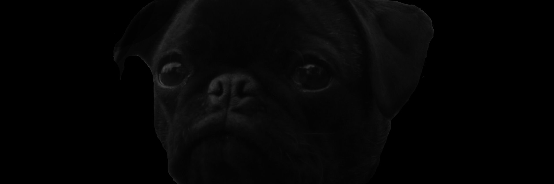 mandyviaspace's profile banner image