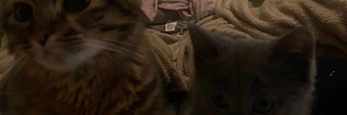 yanectsy's profile banner image