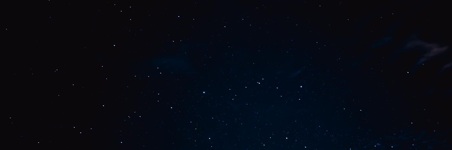 Fish banner