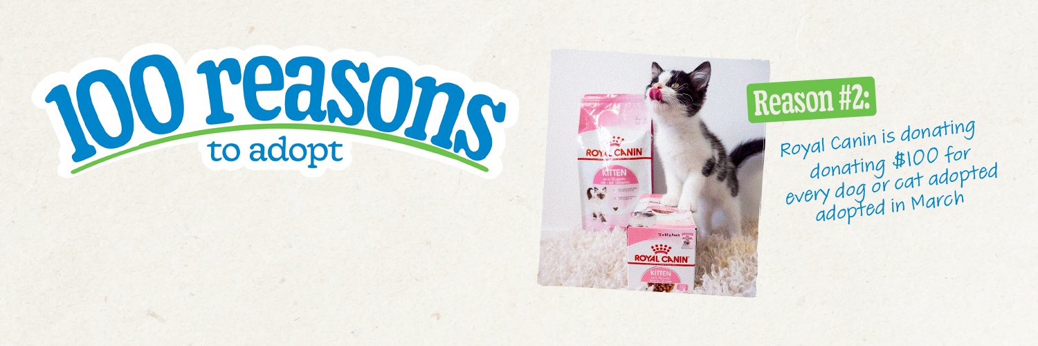 RSPCA Australia banner