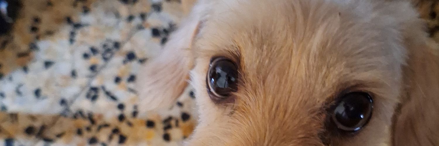 alesita está soltera banner