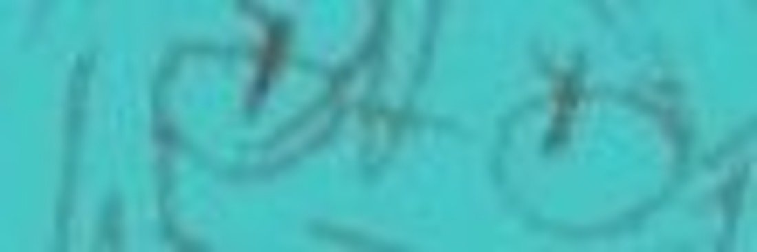 maddy's banner