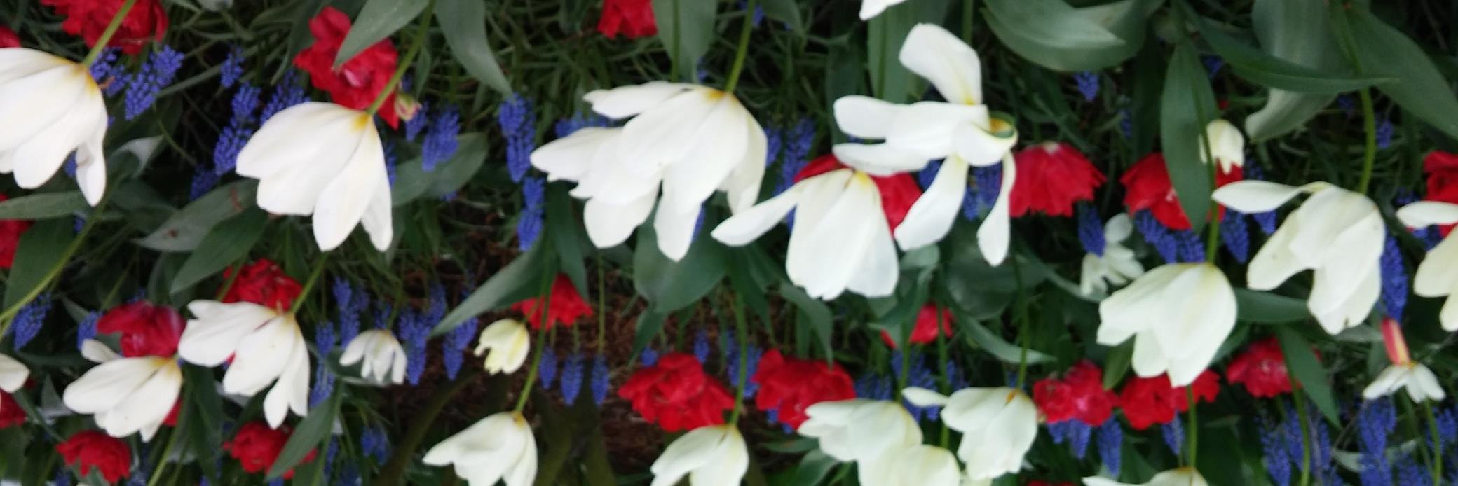 nenamarb's profile banner image