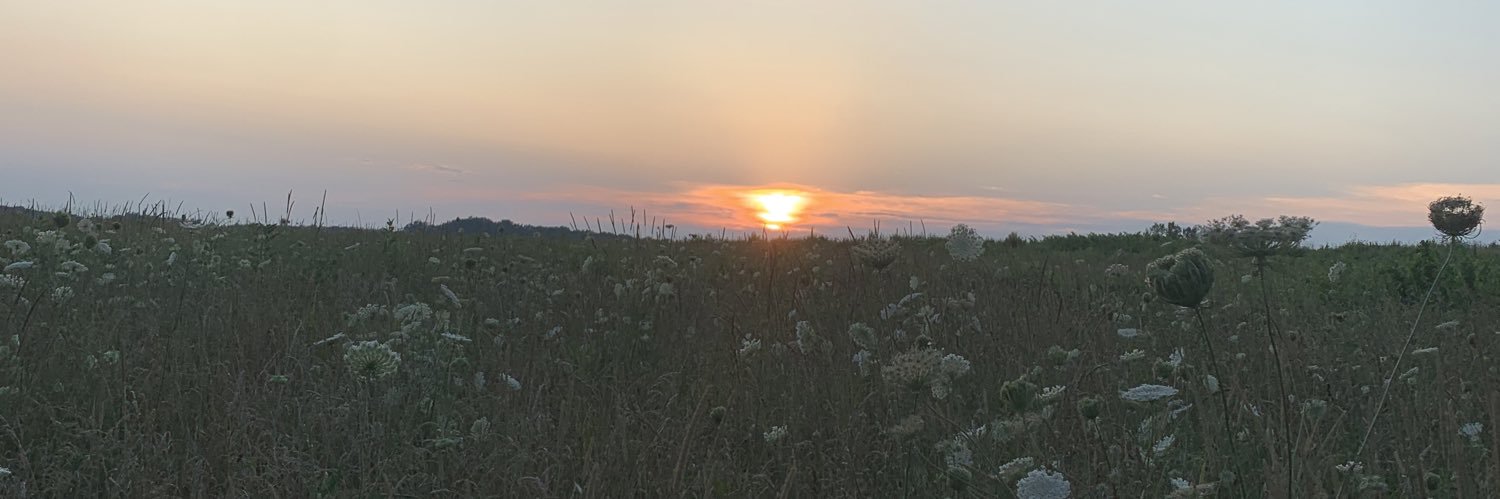 anthonyessick's profile banner image