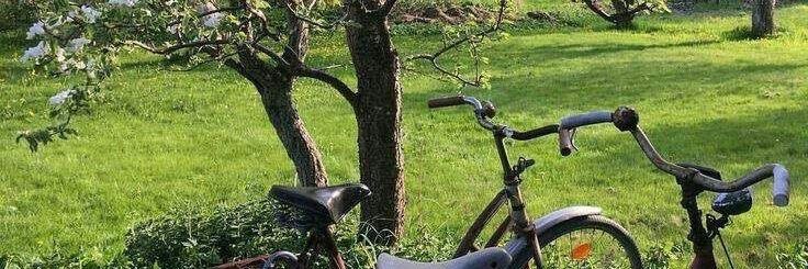 k banner