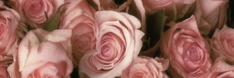 mrswillinger's profile banner image