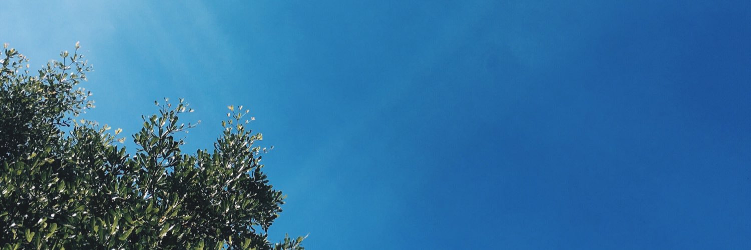 waritkub's profile banner image