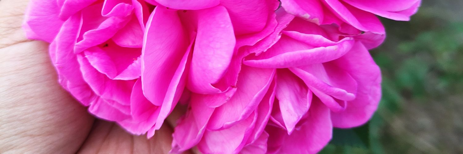 JuD_jlps's profile banner image