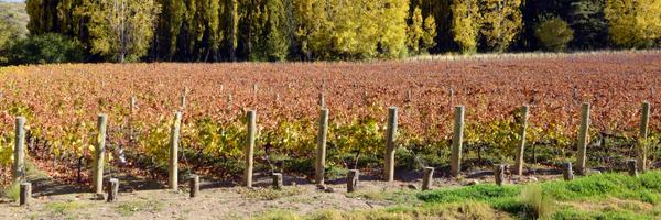 pilotmichael Profile Banner