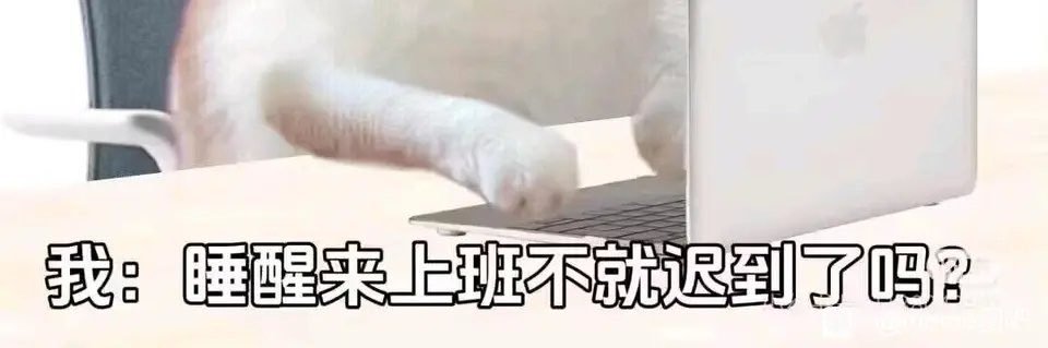 每天都困的不行只想睡觉 banner