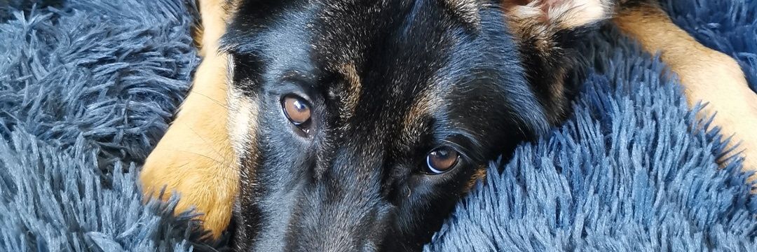 Emeelynee_'s profile banner image
