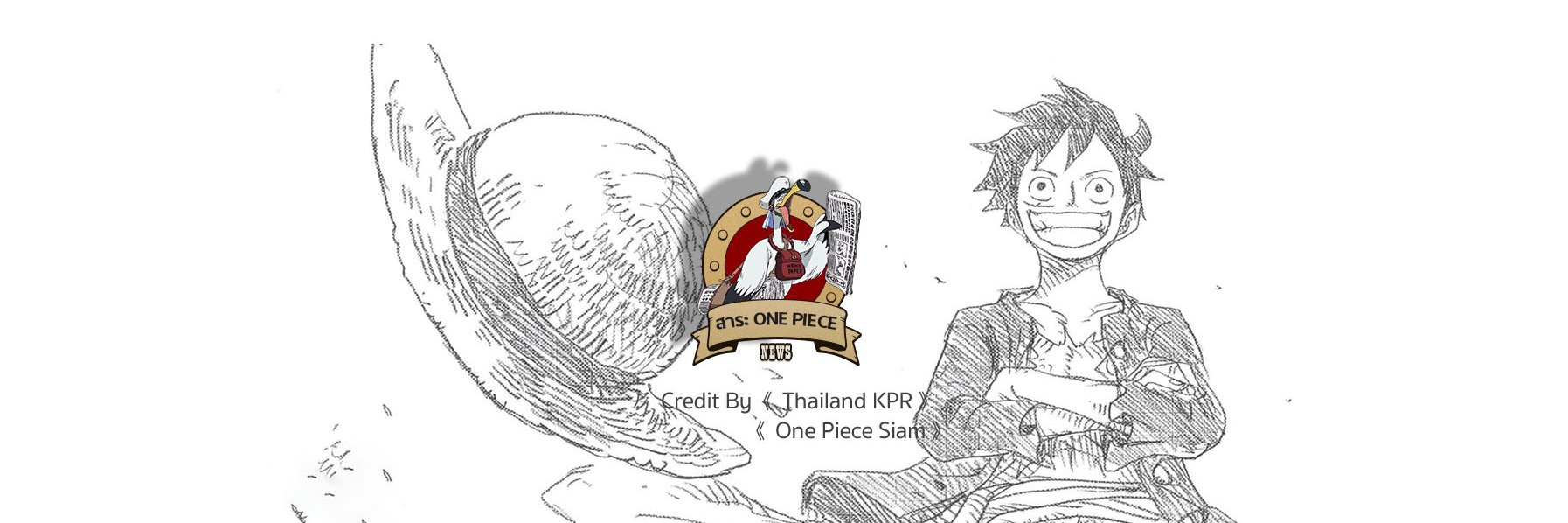 สาระ ONE PIECE banner