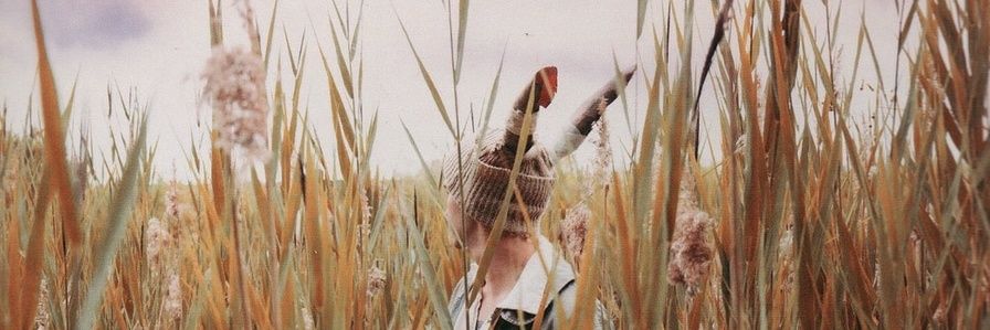 yareloi's profile banner image