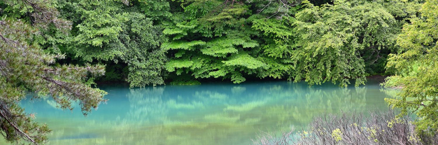 りんごさん banner