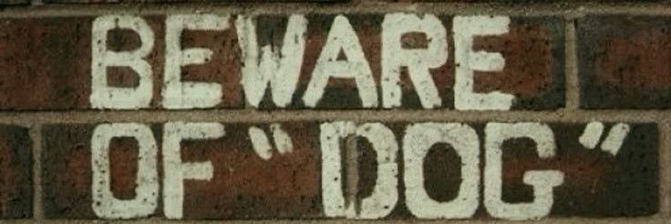 DogSheepThing's profile banner image