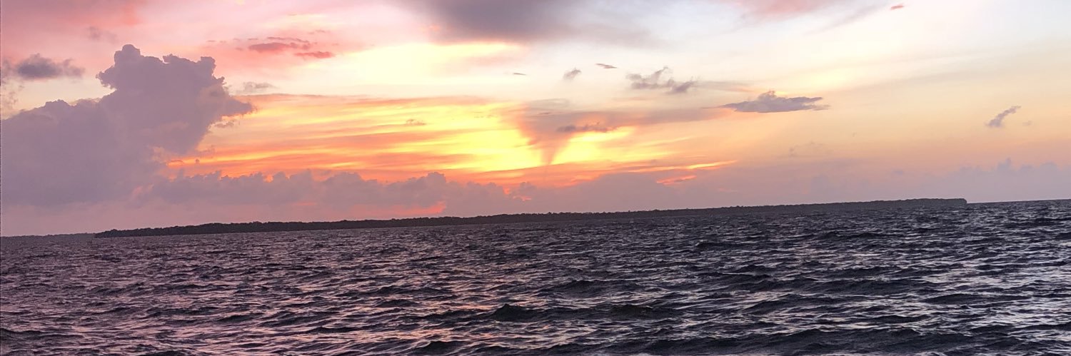 maclopezlora's profile banner image