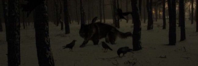 _Ryxn's profile banner image