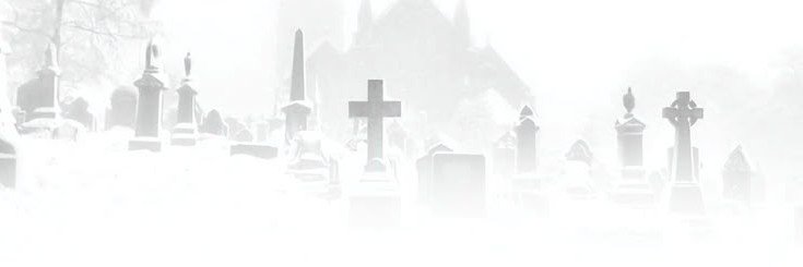 bunyluvs's profile banner image