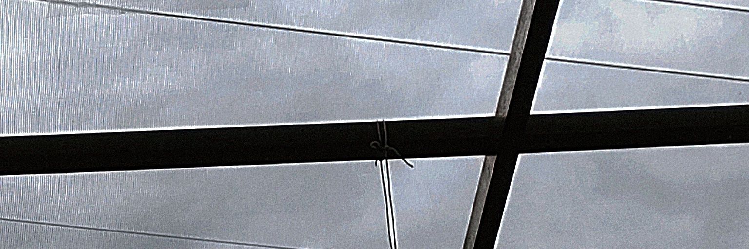 鯨月's banner
