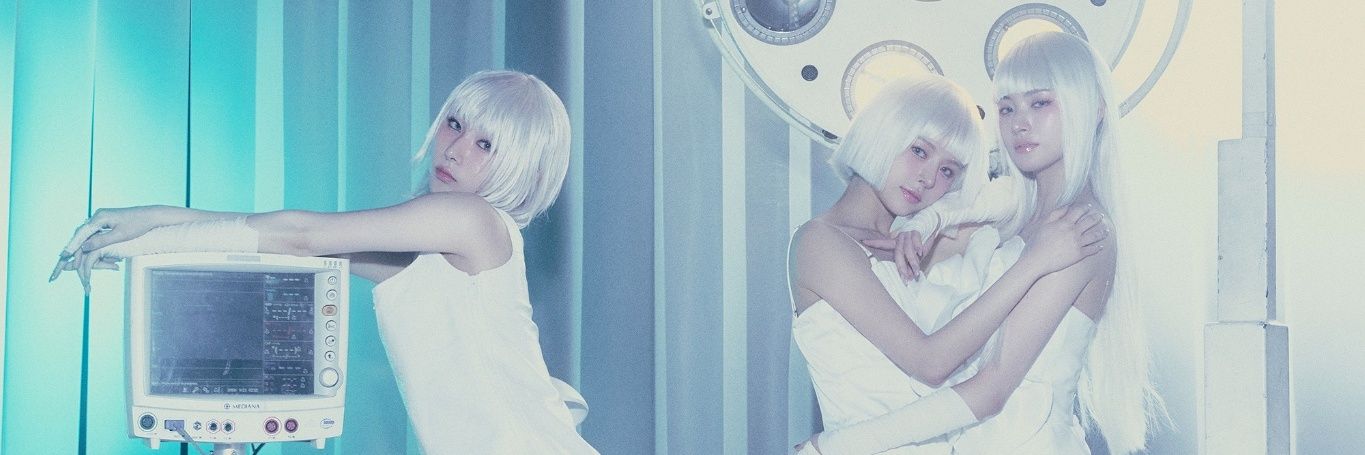 TomikaDaRabbit banner