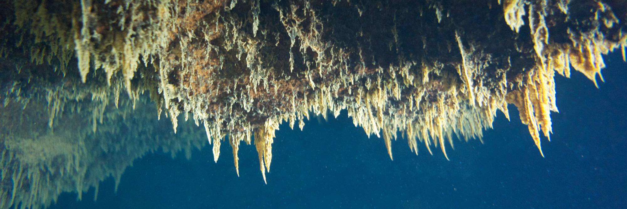 Jennifer Macalady @jmacalad.bsky.social banner