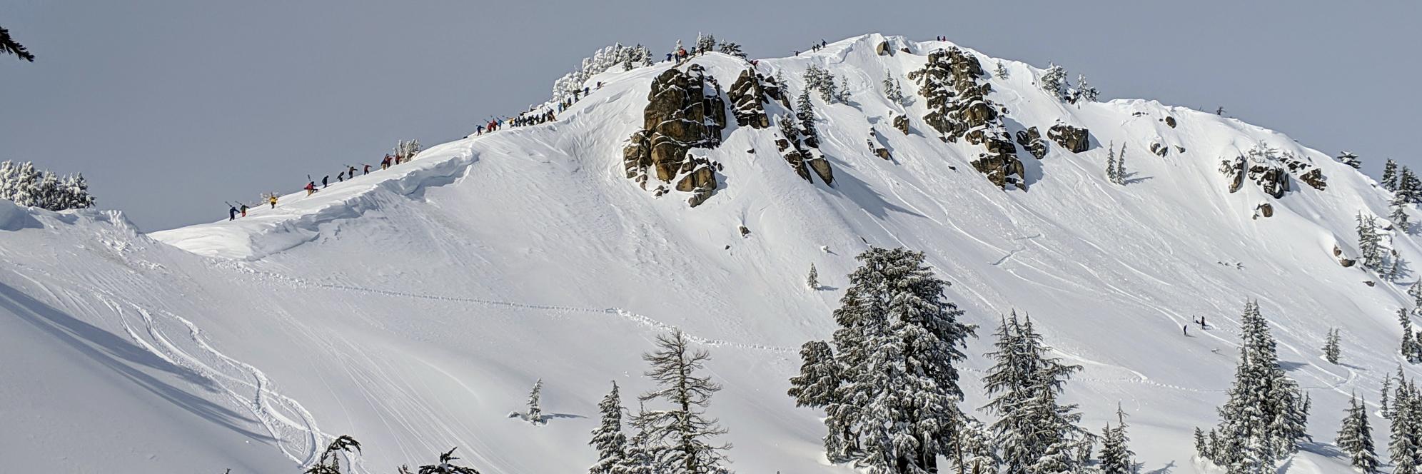 Steve Meier - 🏃‍♂️⛷️ 🎣 💆 California in Nature banner