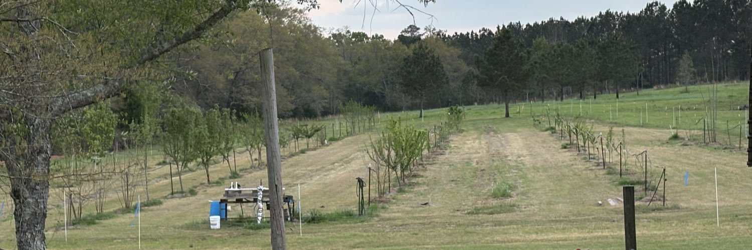Dragon Springs Farm banner