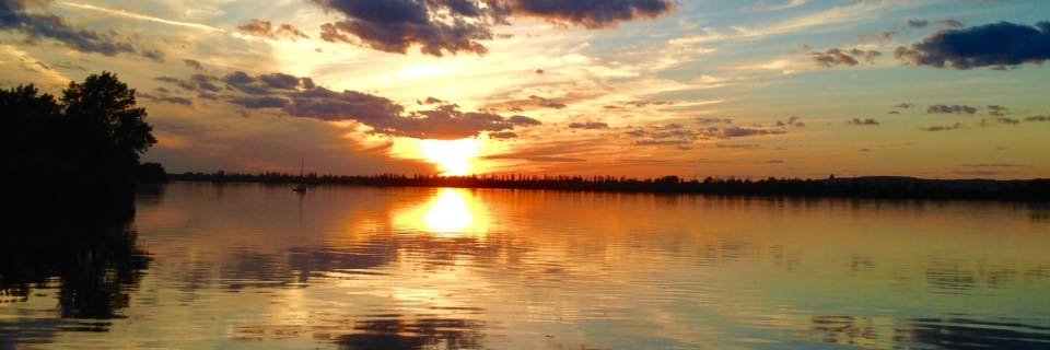 dulce_joao's profile banner image