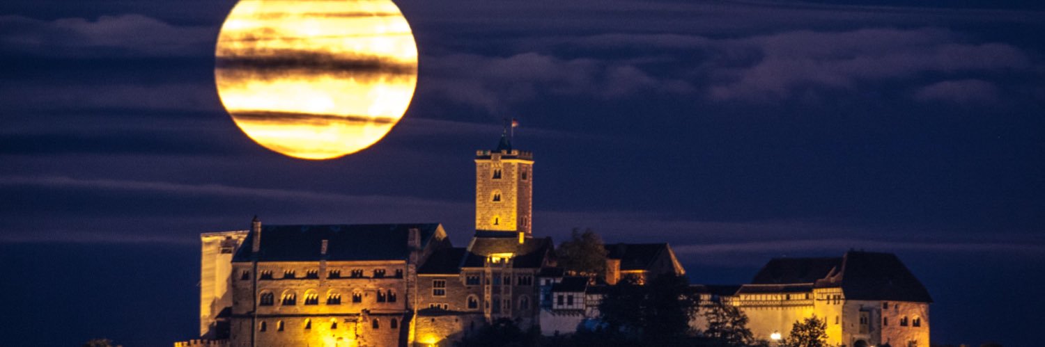 Heiko Schultz banner