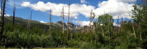 JessicaAMMoore Profile Banner