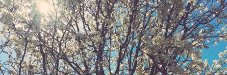friendlyroberta's profile banner image