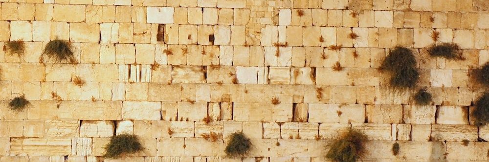 Enrique Chmelnik 🇮🇱 banner