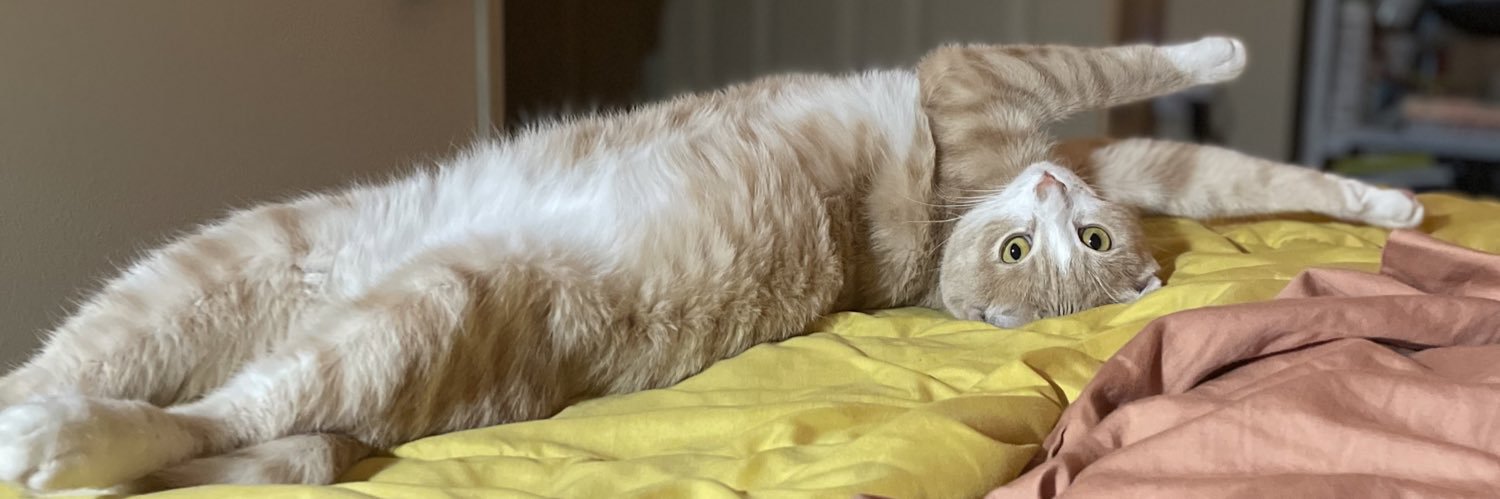 a_rowboat's profile banner image