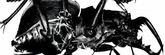Andregamba's profile banner image