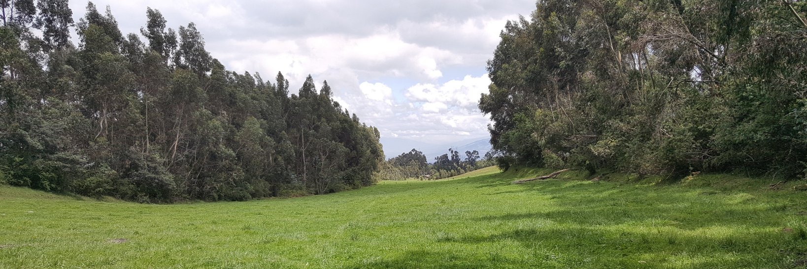 Rodrigo Gómez de laT banner