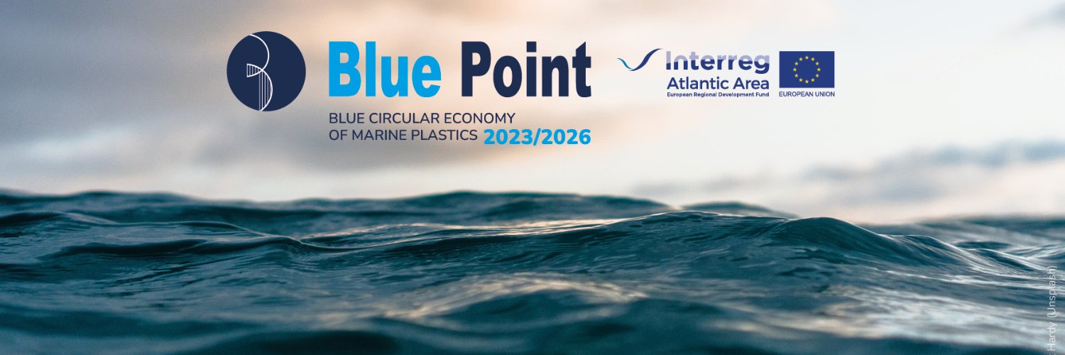 Blue Point Project banner