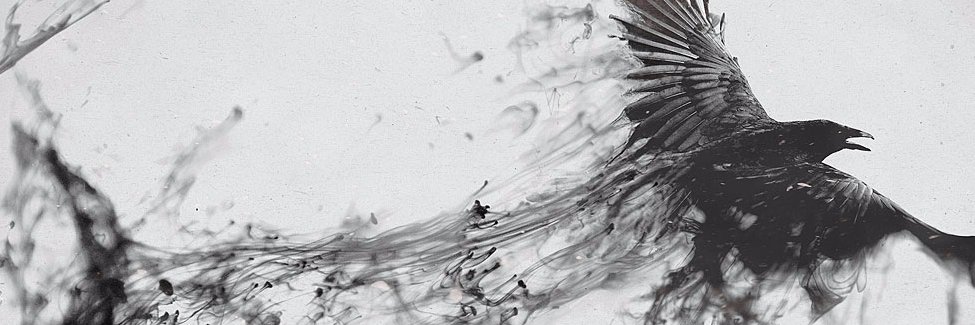 derekcollins79's profile banner image
