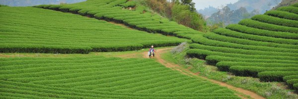 DevelopmenLearn Profile Banner