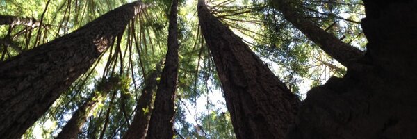 enein18 Profile Banner