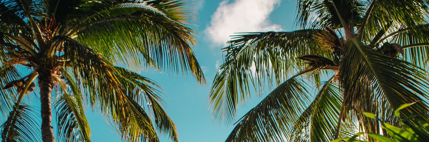 PatrickJJansen's profile banner image