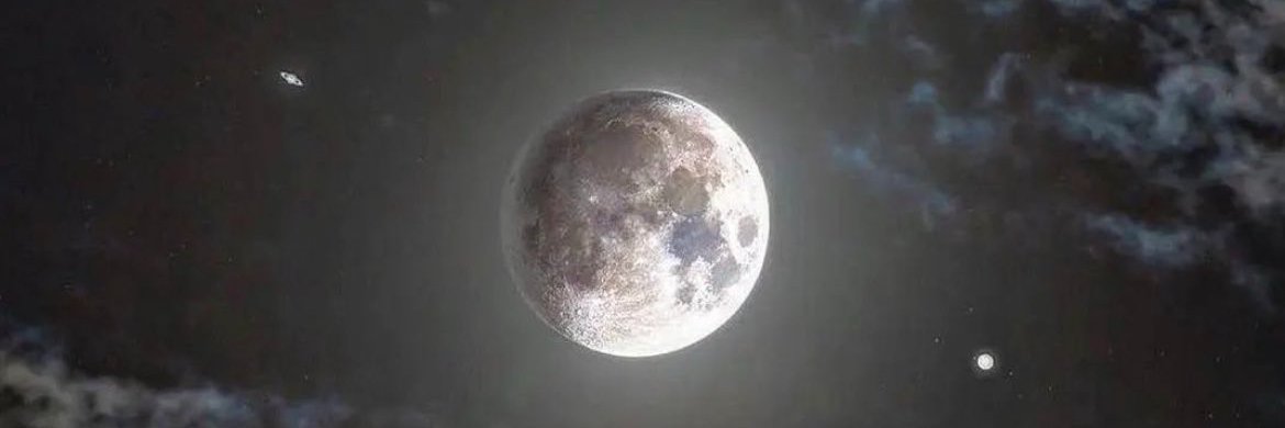 World Back ✺ banner