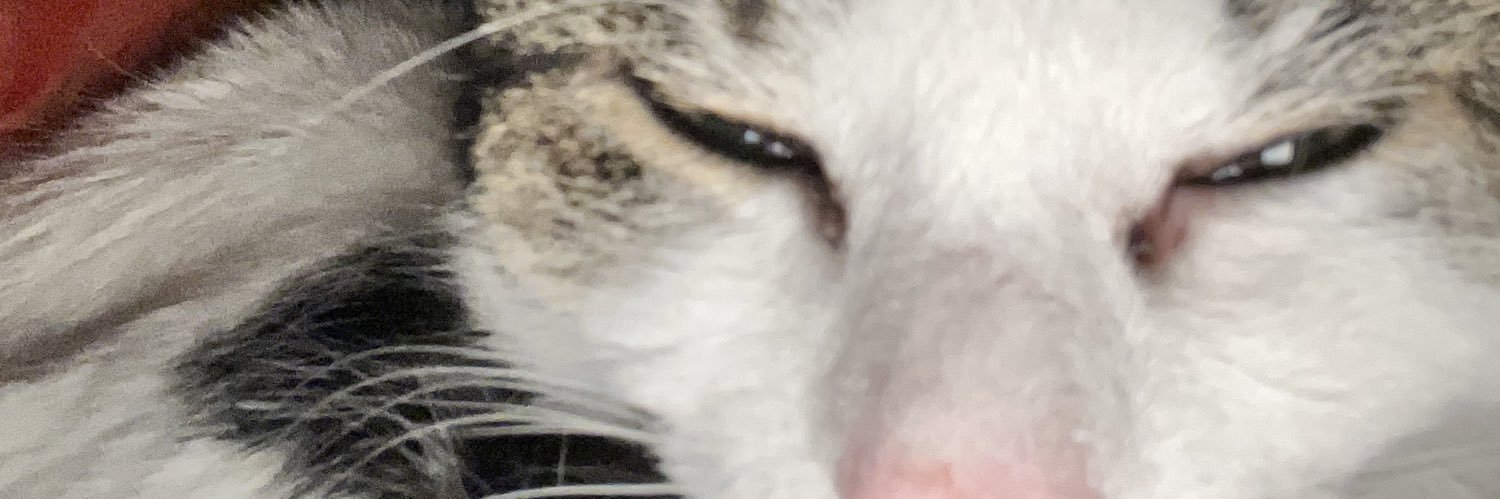 Lauren Olivia banner